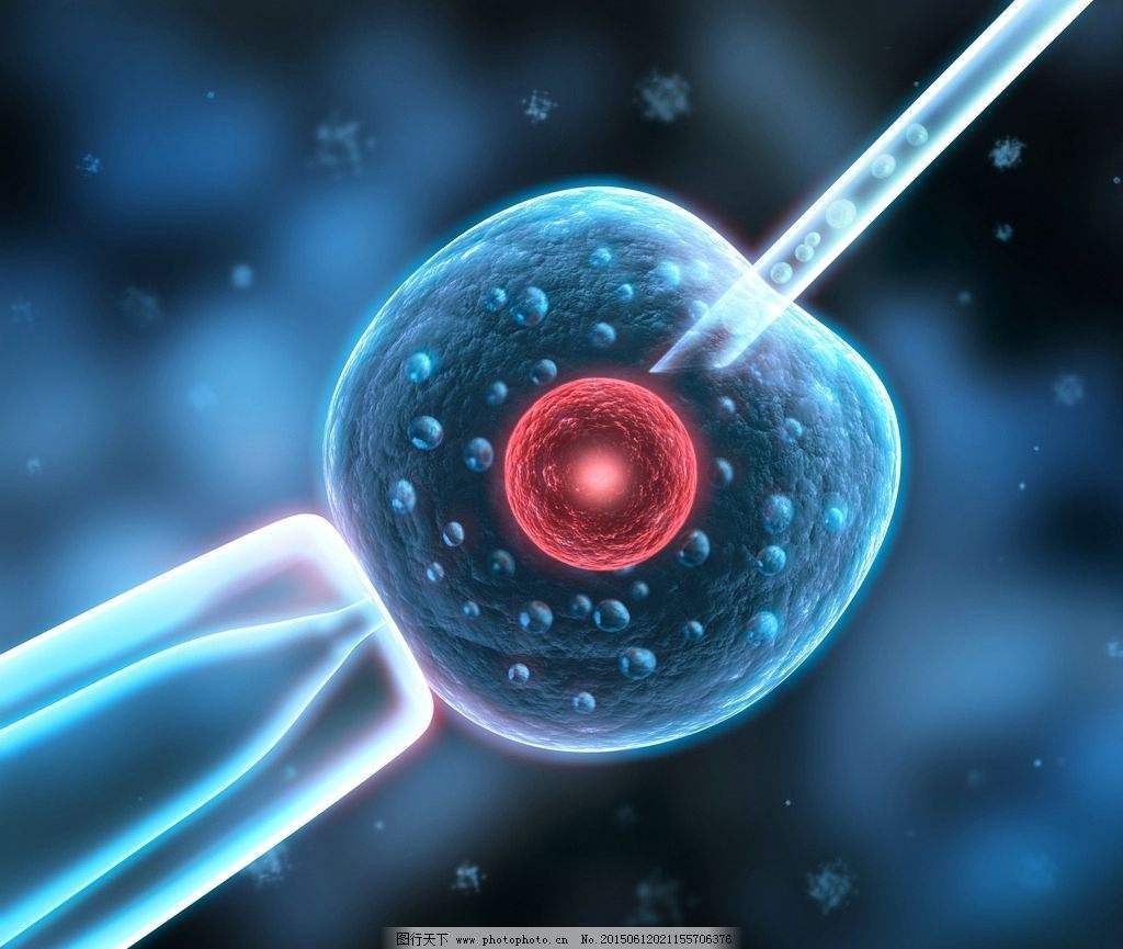 买了40年产权的房子