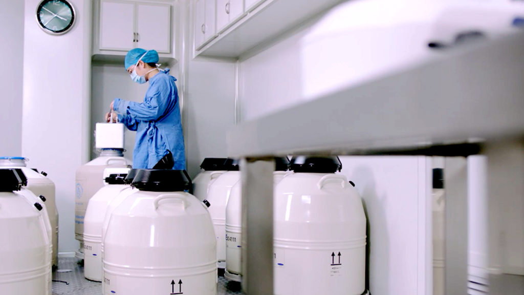 多囊卵巢综合征