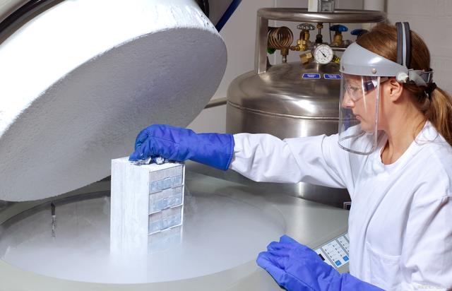 酒后生男孩几率大