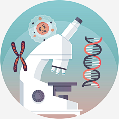 怀孕两个月打胎