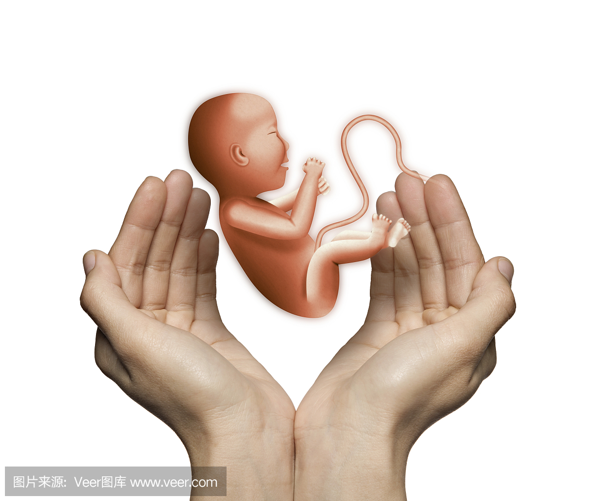 中小学生教育资源平台