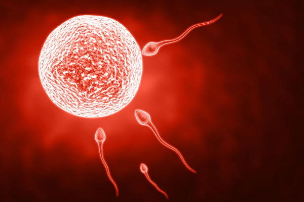 临床诊断早孕待查