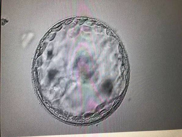 为什么后壁生儿子多