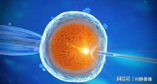 宝宝发育标准对照表