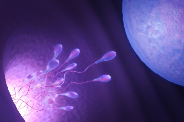 家庭教育指导师