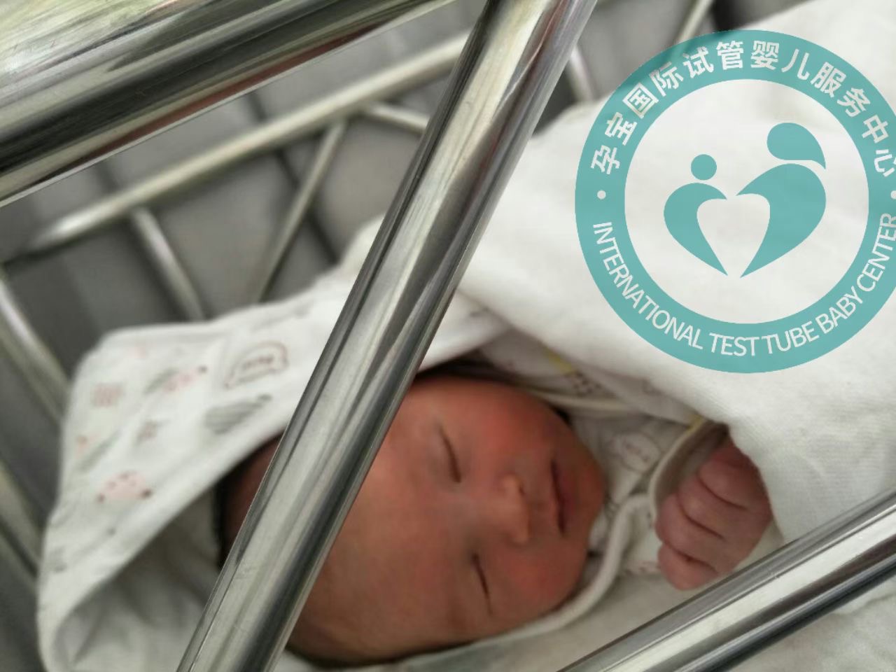 育儿专家排行榜