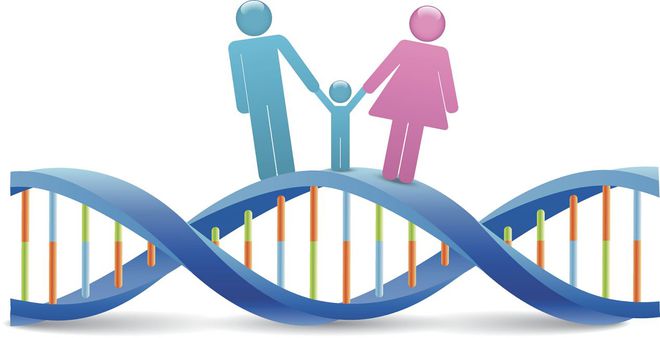 为什么天天做还是没有怀孕