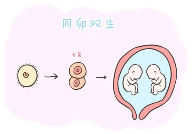 两个月宝宝体温