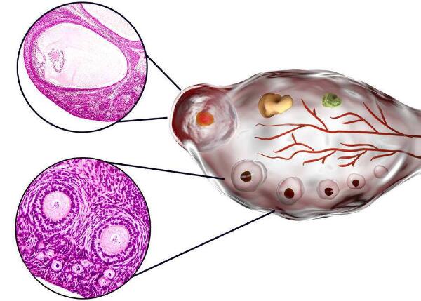 邵阳高薪招聘捐卵志愿者